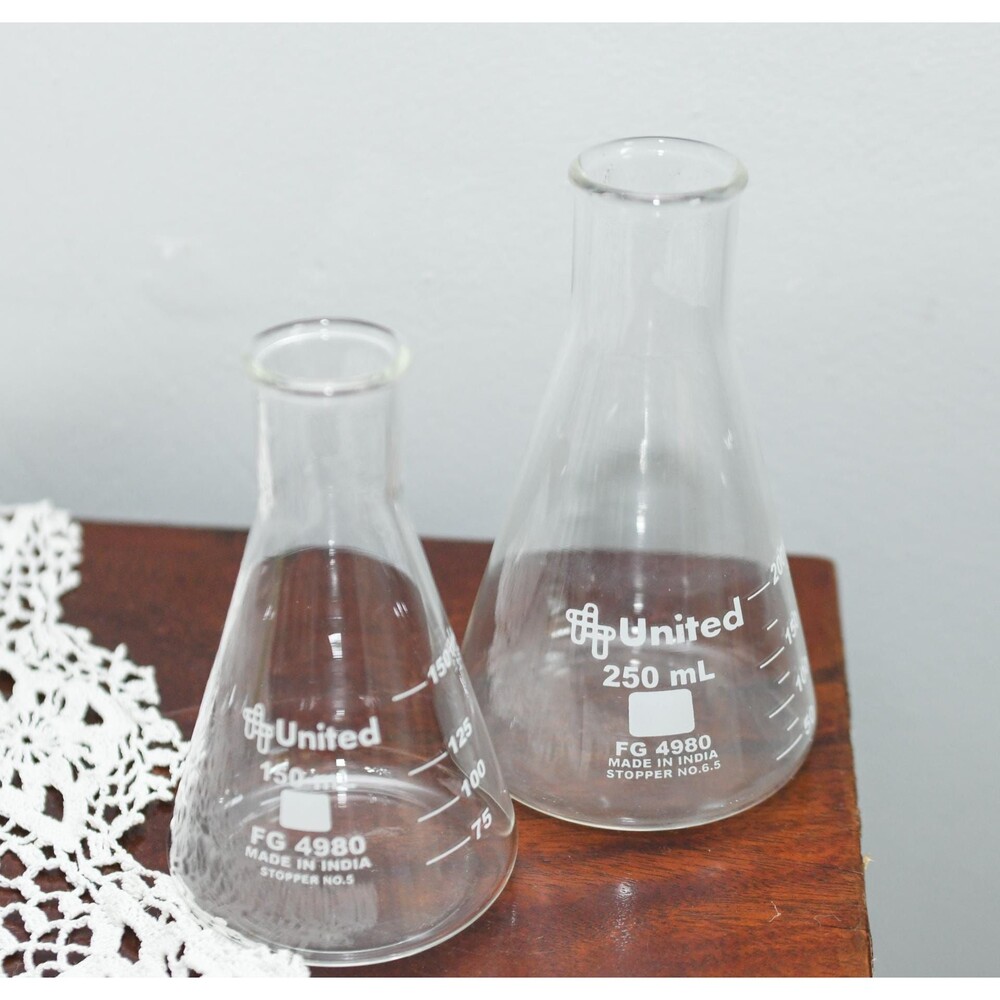 Set of Two Glass Erlenmeyer Flask Bud Vases Laboratory Beaker Style